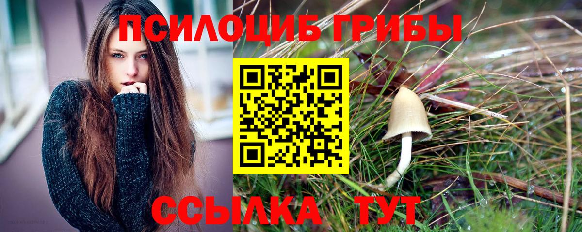 Галлюциногенные грибы Psilocybe  Галлюциногенные грибы прущие грибы  Вход с VPN  Югорск 