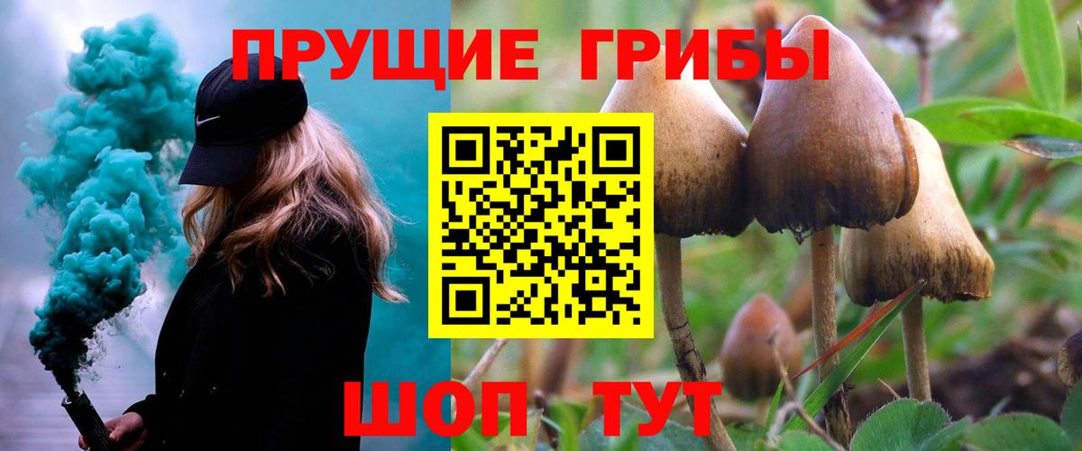 Псилоцибиновые грибы Cubensis Югорск