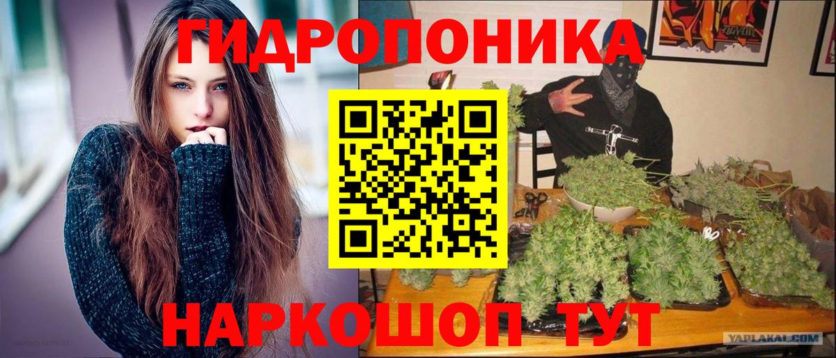 Каннабис OG Kush Югорск